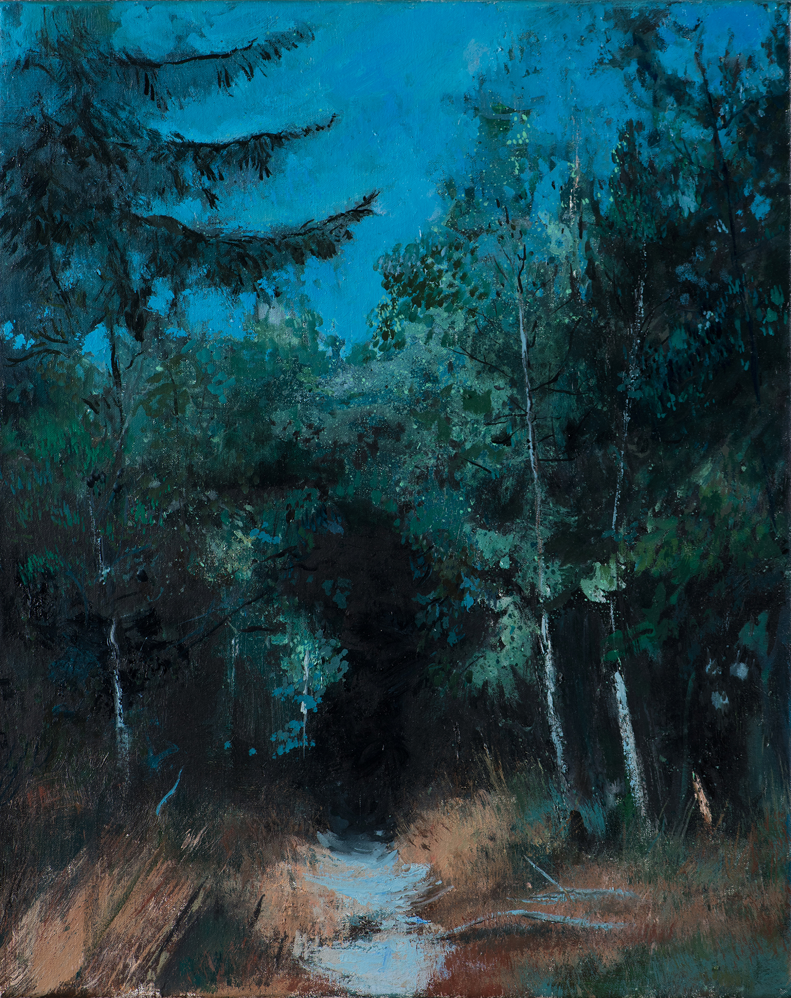 Midnight walk